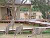 Hlosi Game Lodge - Exterior